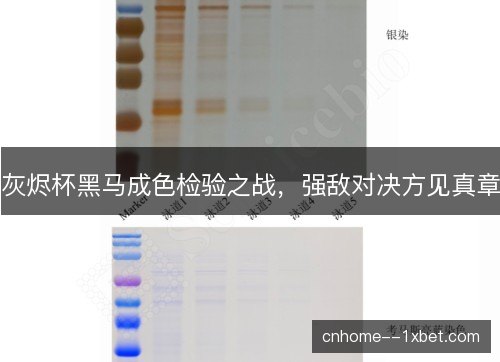 灰烬杯黑马成色检验之战，强敌对决方见真章